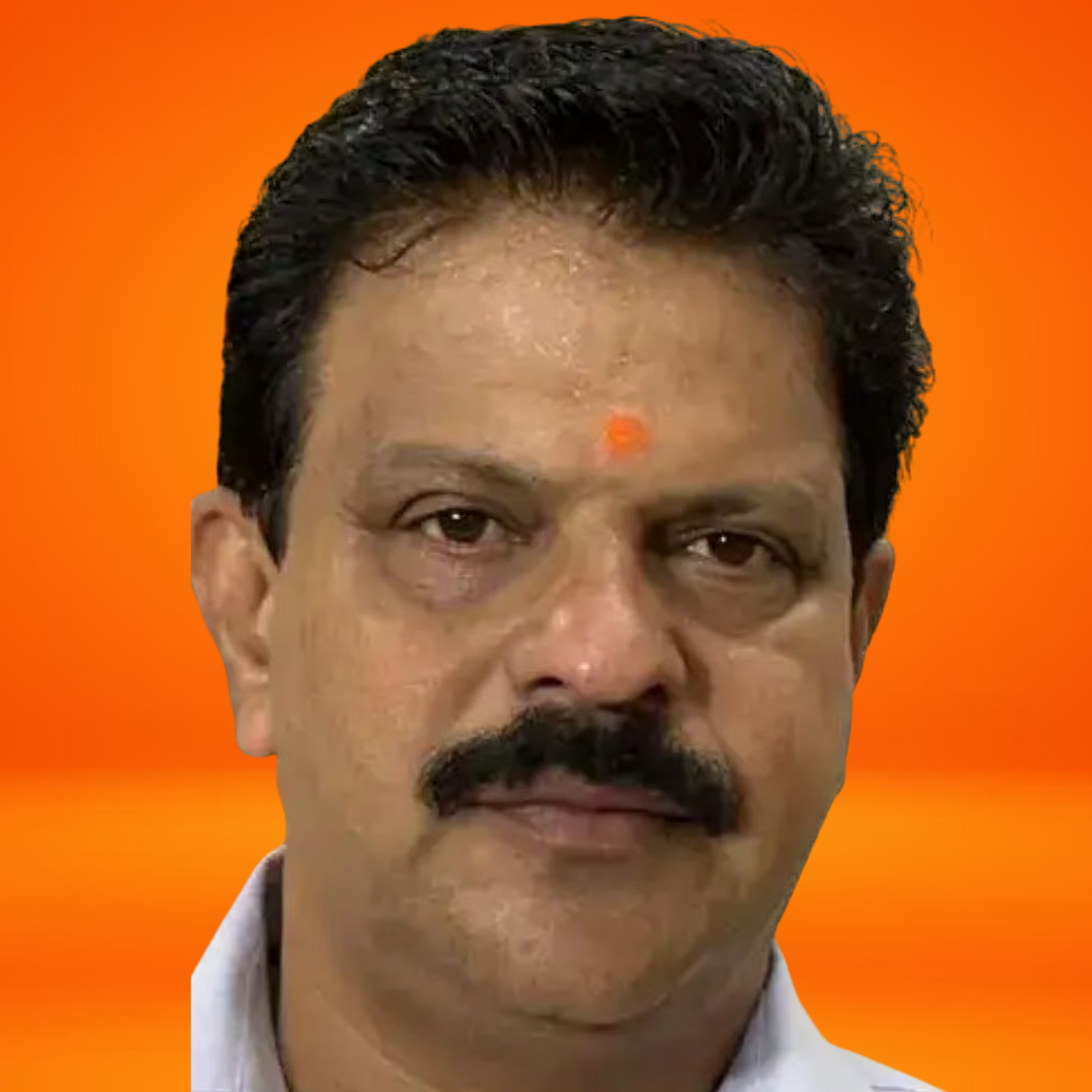 Shri Sudhir Salvi